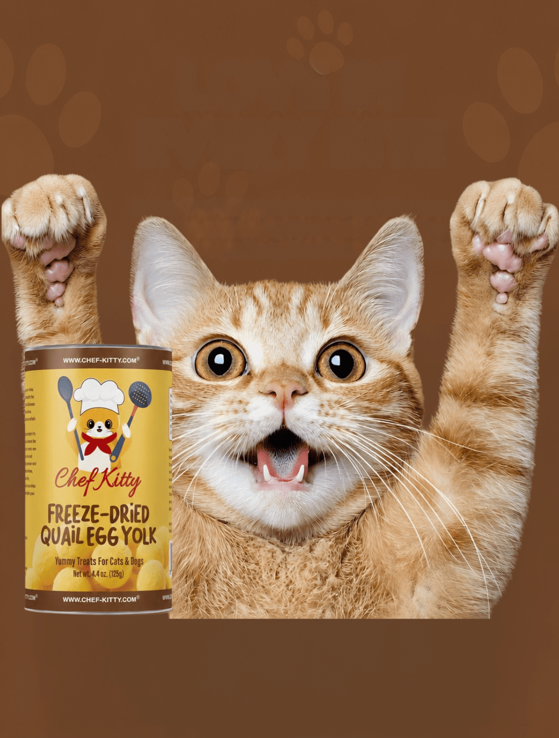 Freeze-Dried Quail Egg Yolk Treats: Why Cats Go Crazy for Them - Chef-Kitty