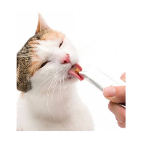Lickable Cat Treats: The Complete Guide to Tube, Squeezable; Purée Treats - Chef-Kitty