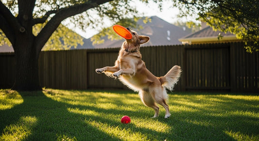 The Ultimate Guide to Preventing and Dealing with Ticks on Dogs