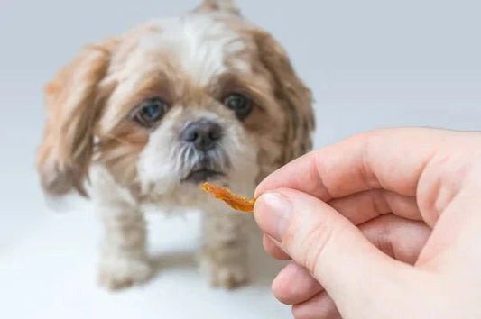 Assortment of freeze-dried dog treats from top brands like Chef Kitty for sensitive stomachs