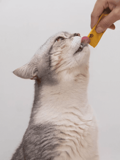 Why Are Cats Addicted to Temptations Treats? (And What to Do About It) - Chef-Kitty