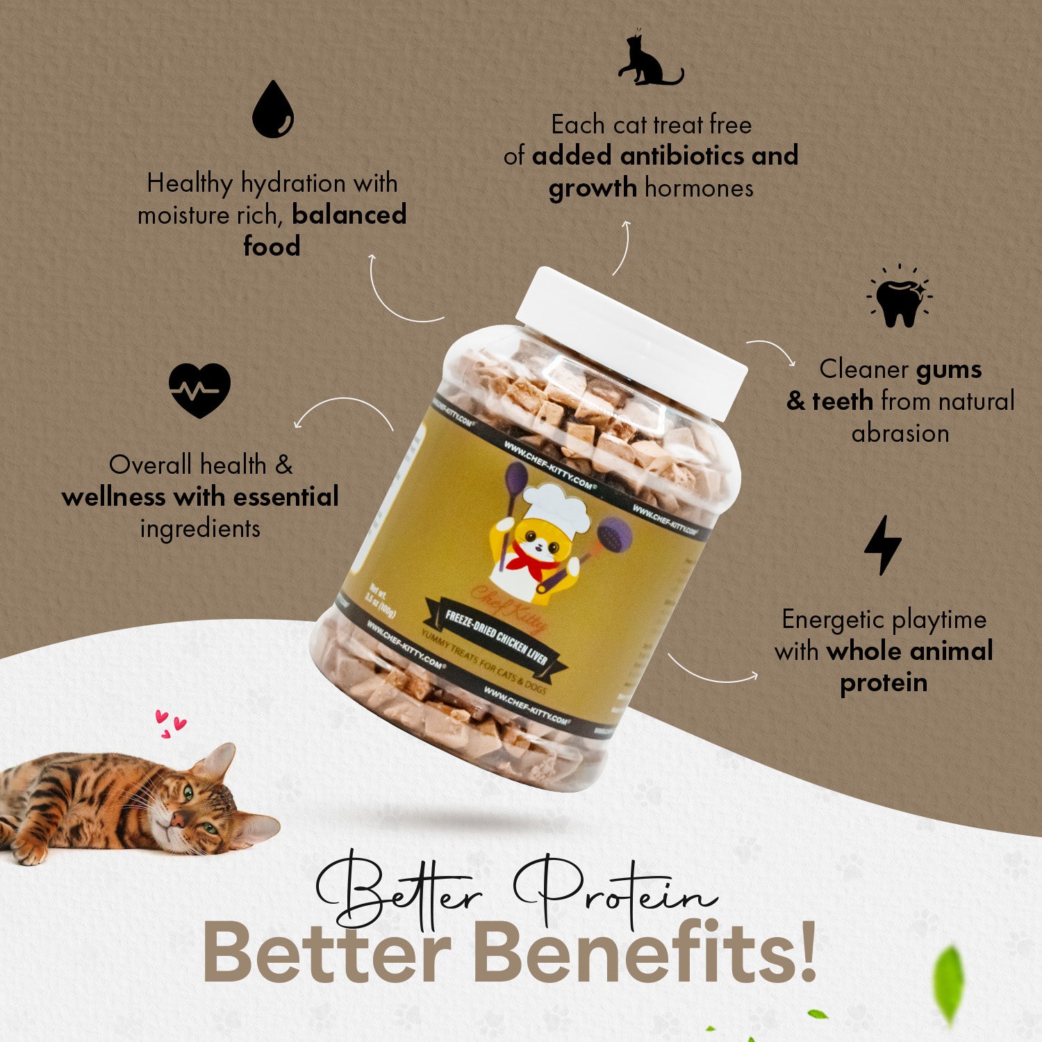 Delicious Chicken Liver Cat Treats Freeze Dried Liver for Cats Chef