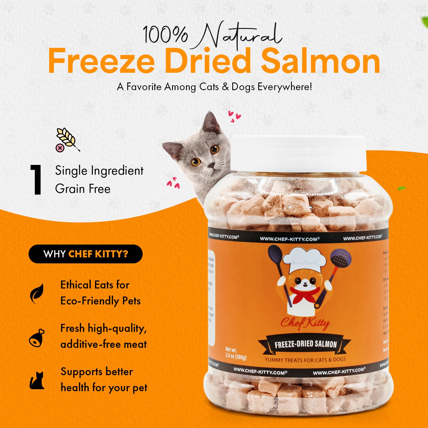 Freeze Dried Salmon Treats for Cats of All Ages ChefKitty
