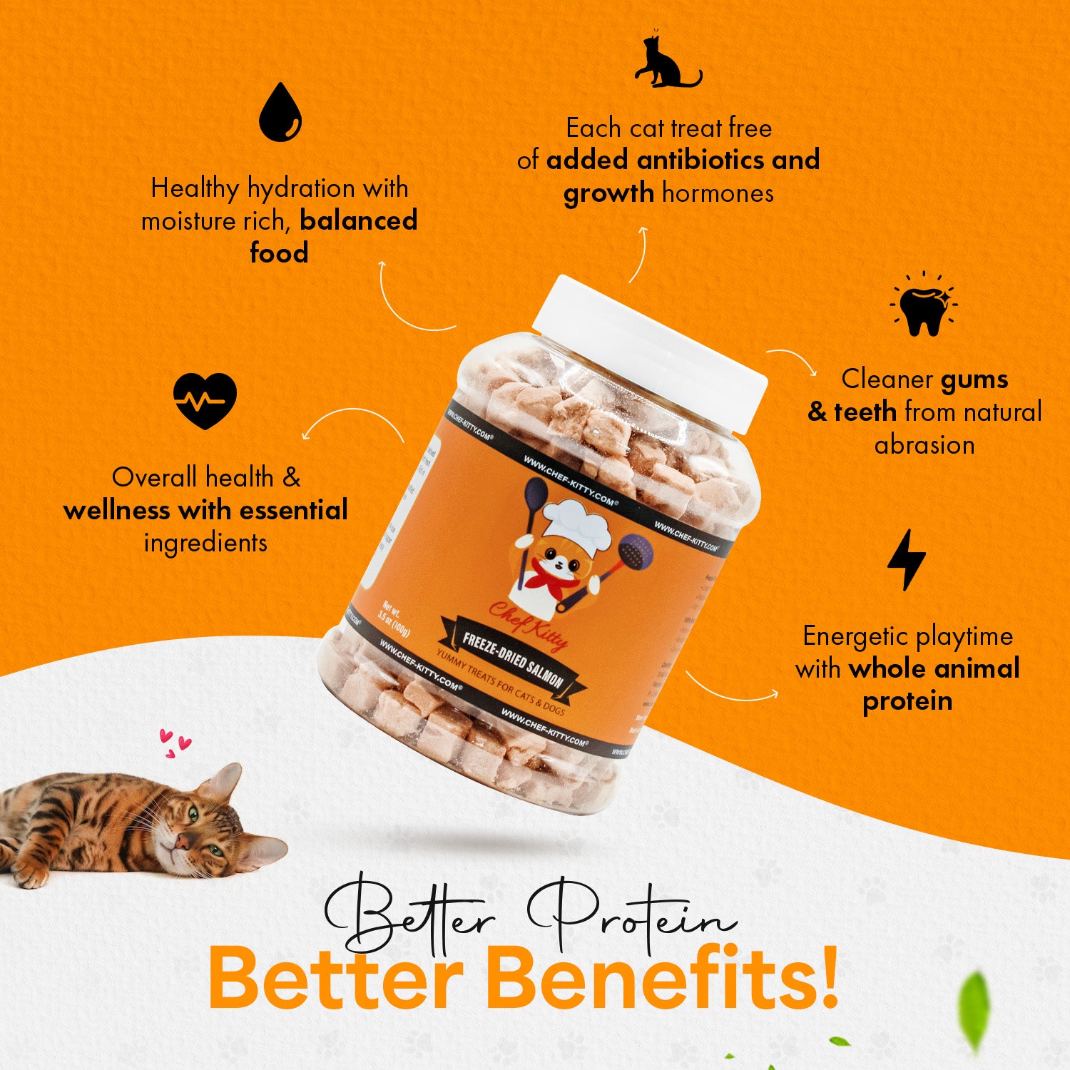 Freeze Dried Salmon Treats for Cats of All Ages ChefKitty