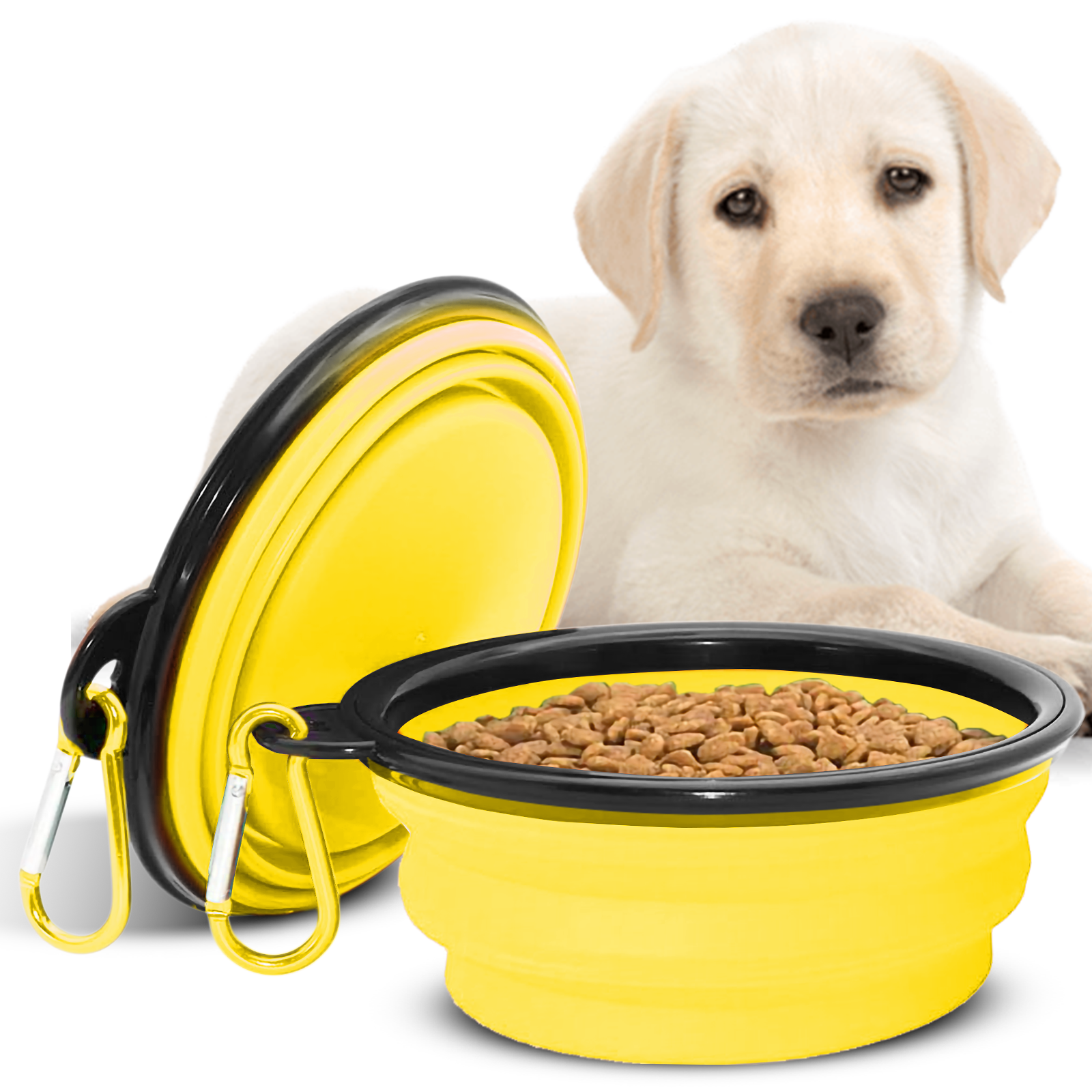 Collapsible Dog Bowls for Travel, Portable Dog Water Bowl & Food Bowl for Dogs and Cats, Foldable Pet Feeding Dish for Walking Hiking Camping with Carabiner, BPA Free