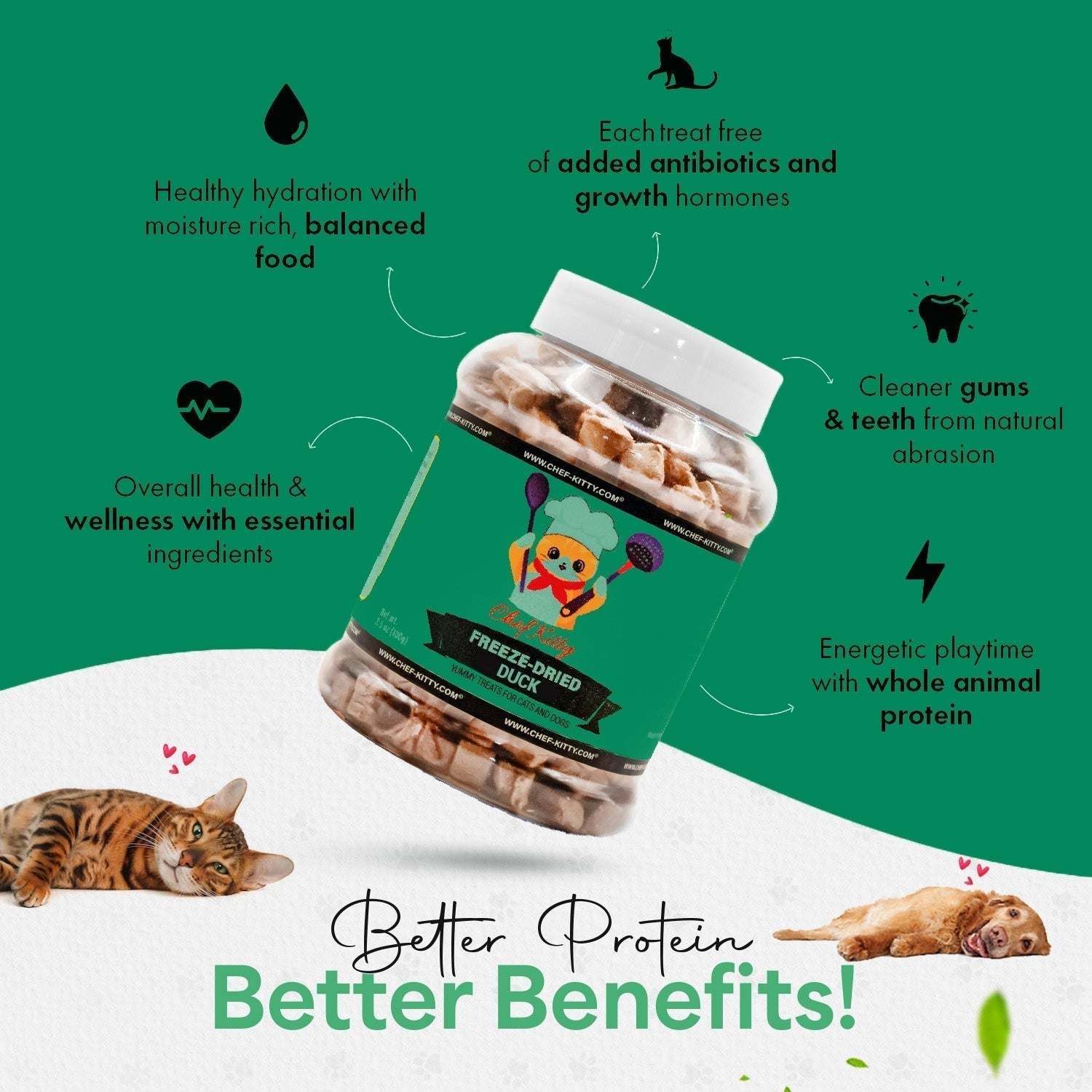 Freeze-Dried Duck Treats for Cats & Dogs
