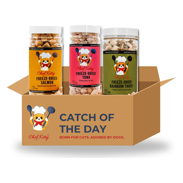 Catch of the Day Seafood Basket: freeze-dried salmon, tuna and rainbow trout treats in a Chef Kitty box