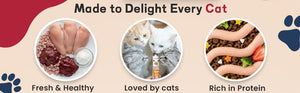 Chef Kitty Purée Pops, Cat Treats - Chef - Kitty