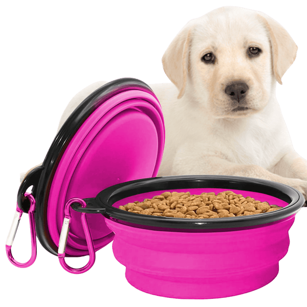 Collapsible Dog Bowls for Travel, Portable Dog Water Bowl & Food Bowl for Dogs and Cats, Foldable Pet Feeding Dish for Walking Hiking Camping with Carabiner, BPA Free - Chef - Kitty