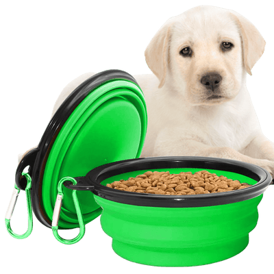 Collapsible Dog Bowls for Travel, Portable Dog Water Bowl & Food Bowl for Dogs and Cats, Foldable Pet Feeding Dish for Walking Hiking Camping with Carabiner, BPA Free - Chef - Kitty