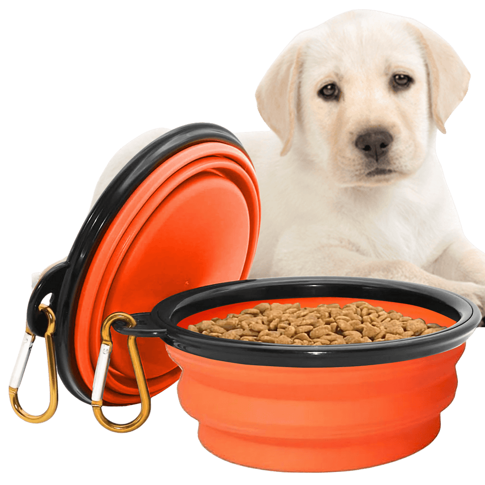 Collapsible Dog Bowls for Travel, Portable Dog Water Bowl & Food Bowl for Dogs and Cats, Foldable Pet Feeding Dish for Walking Hiking Camping with Carabiner, BPA Free - Chef - Kitty
