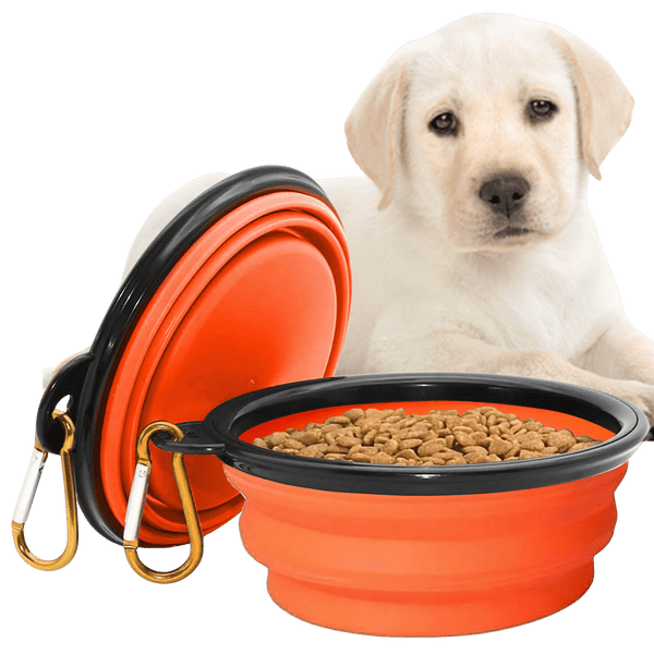 Collapsible Dog Bowls for Travel, Portable Dog Water Bowl & Food Bowl for Dogs and Cats, Foldable Pet Feeding Dish for Walking Hiking Camping with Carabiner, BPA Free - Chef - Kitty