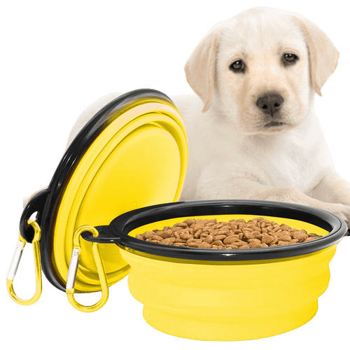 Collapsible Dog Bowls for Travel, Portable Dog Water Bowl & Food Bowl for Dogs and Cats, Foldable Pet Feeding Dish for Walking Hiking Camping with Carabiner, BPA Free - Chef - Kitty