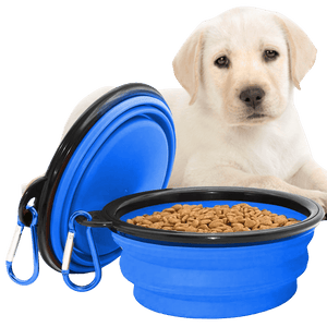 Collapsible Dog Bowls for Travel, Portable Dog Water Bowl & Food Bowl for Dogs and Cats, Foldable Pet Feeding Dish for Walking Hiking Camping with Carabiner, BPA Free - Chef - Kitty