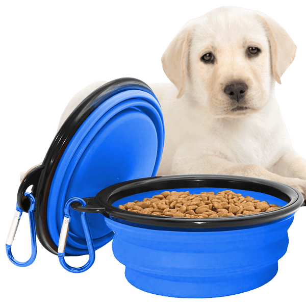Collapsible Dog Bowls for Travel, Portable Dog Water Bowl & Food Bowl for Dogs and Cats, Foldable Pet Feeding Dish for Walking Hiking Camping with Carabiner, BPA Free - Chef - Kitty