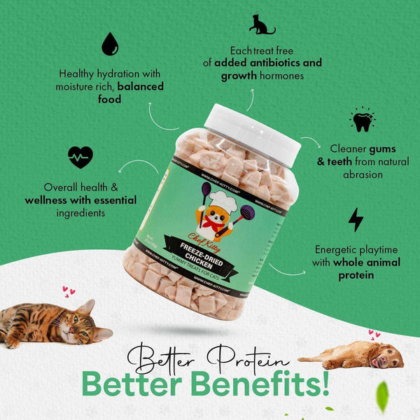 Chicken Treats for Cats & Dogs – Human Grade Freeze-Dried, USA Tested