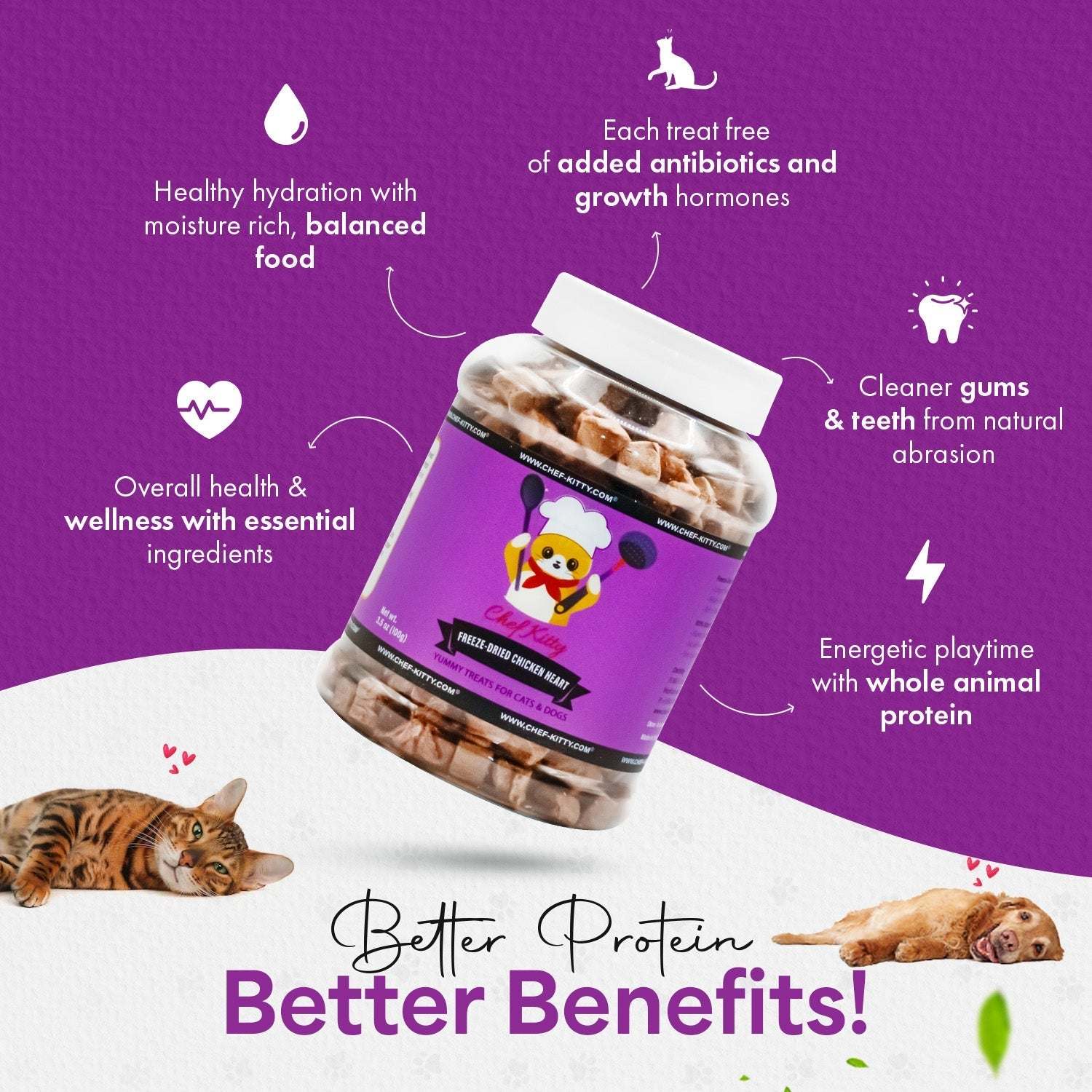 Freeze Dried Chicken Heart Cat & Dog Treats - Chef - Kitty
