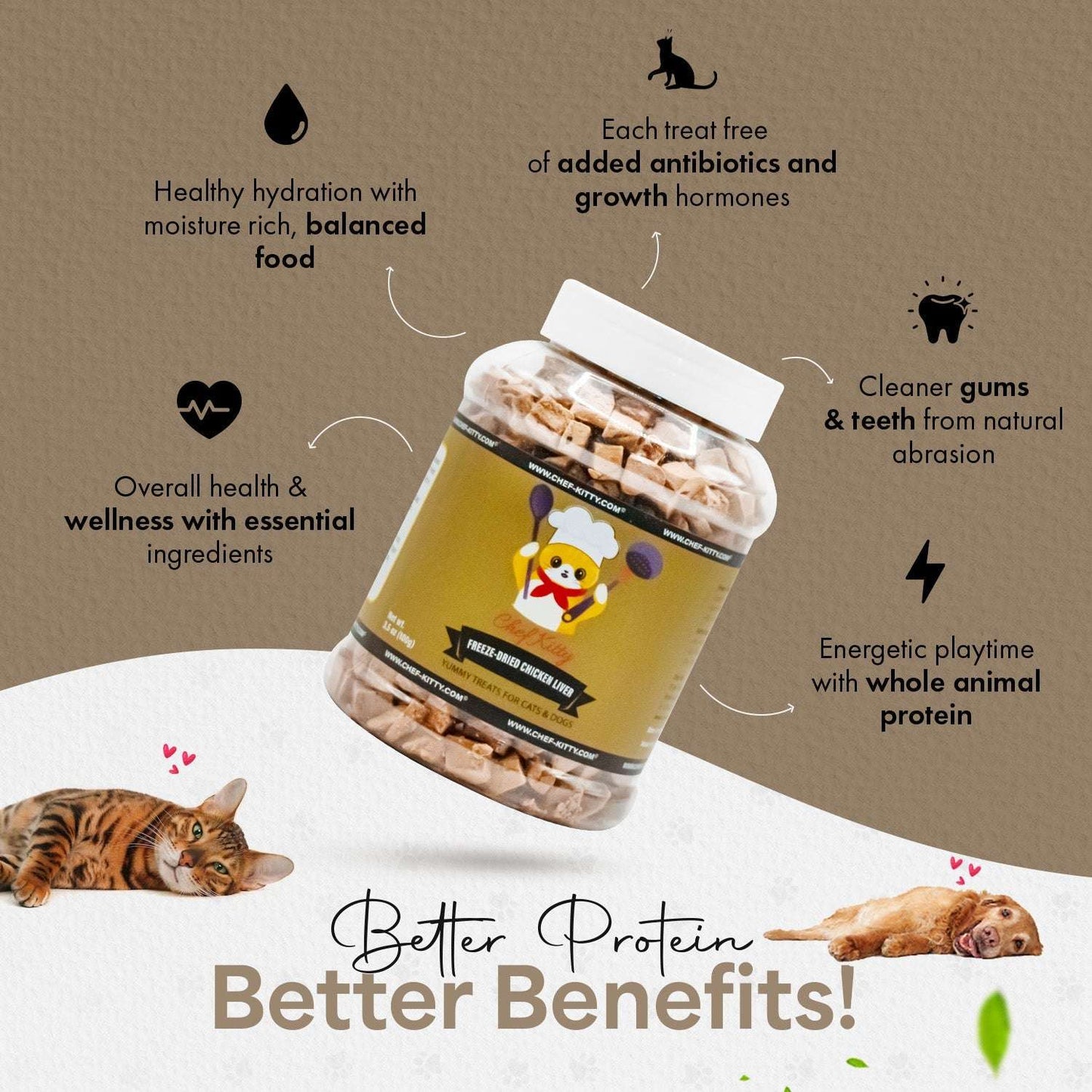 Freeze Dried Chicken Liver Pet Treats  - Inspected & Tested in the USA - Chicken Liver (1.75oz - 3.5oz) - Chef - Kitty