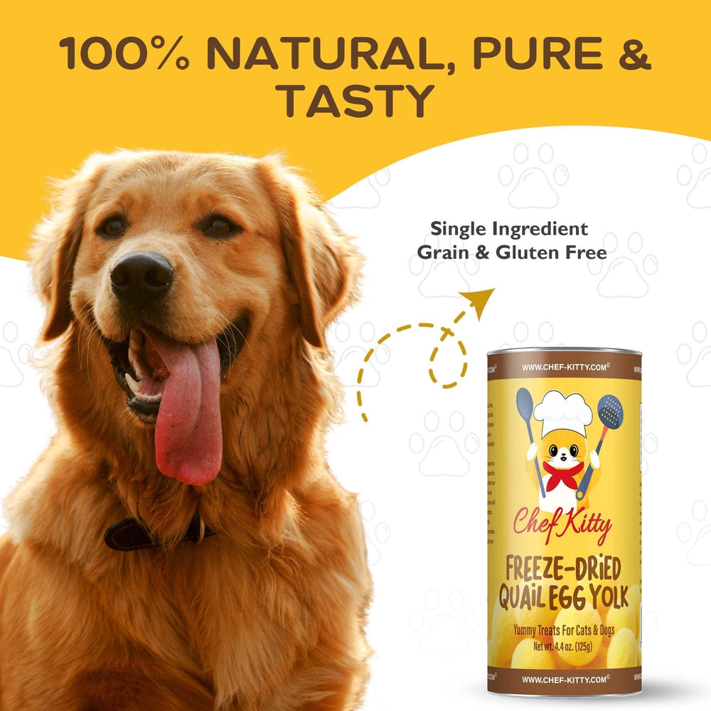 Quail Egg Yolk Treats for Cats & Dogs, All Natural High Protein, Gluten - Free, Made in USA - Chef - Kitty