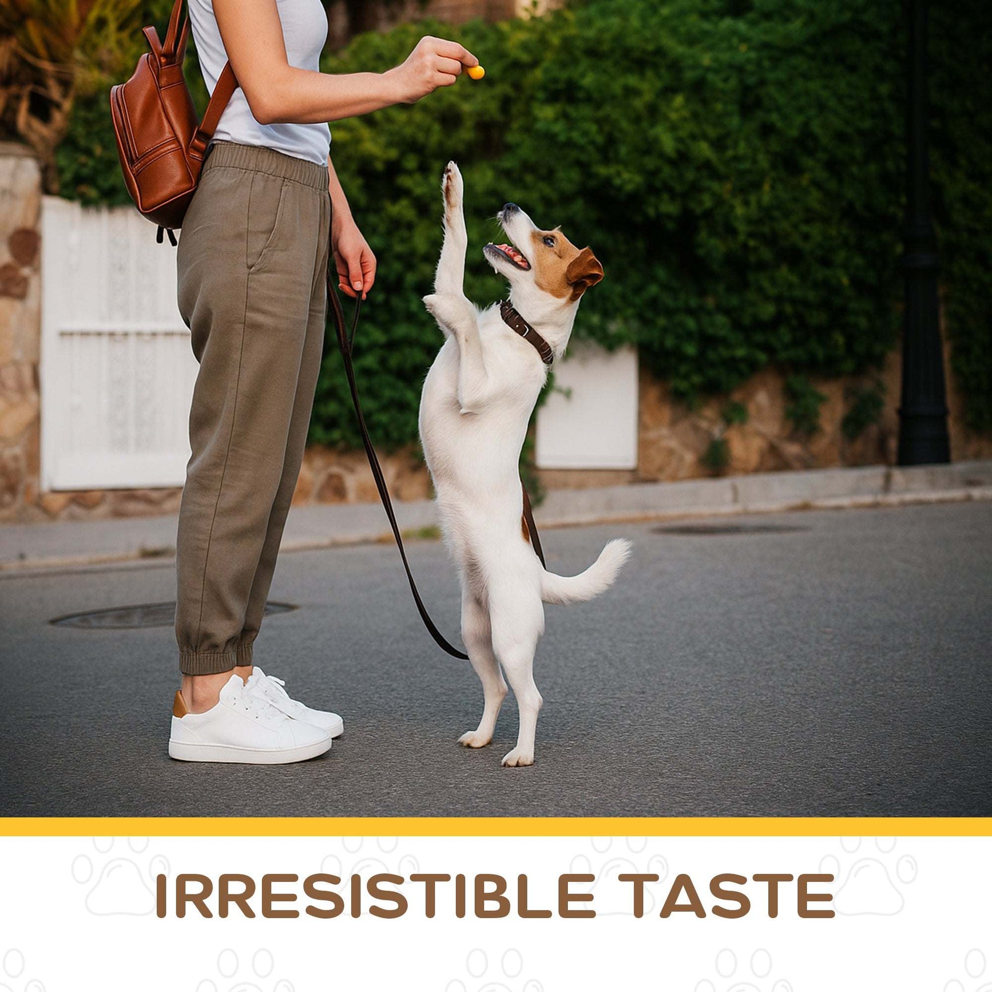 All Natural Freeze-Dried Quail Egg Yolk Treats - Chef - Kitty