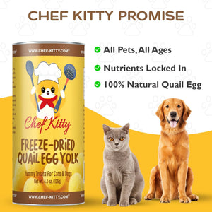 All Natural Freeze-Dried Quail Egg Yolk Treats for Cats & Dogs  