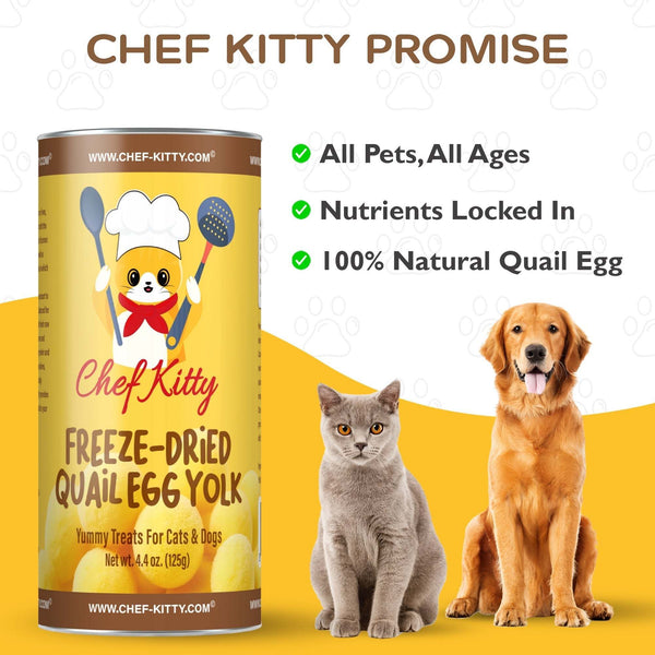 All Natural Freeze-Dried Quail Egg Yolk Treats for Cats & Dogs  