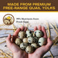 All Natural Freeze-Dried Quail Egg Yolk Treats - Chef - Kitty