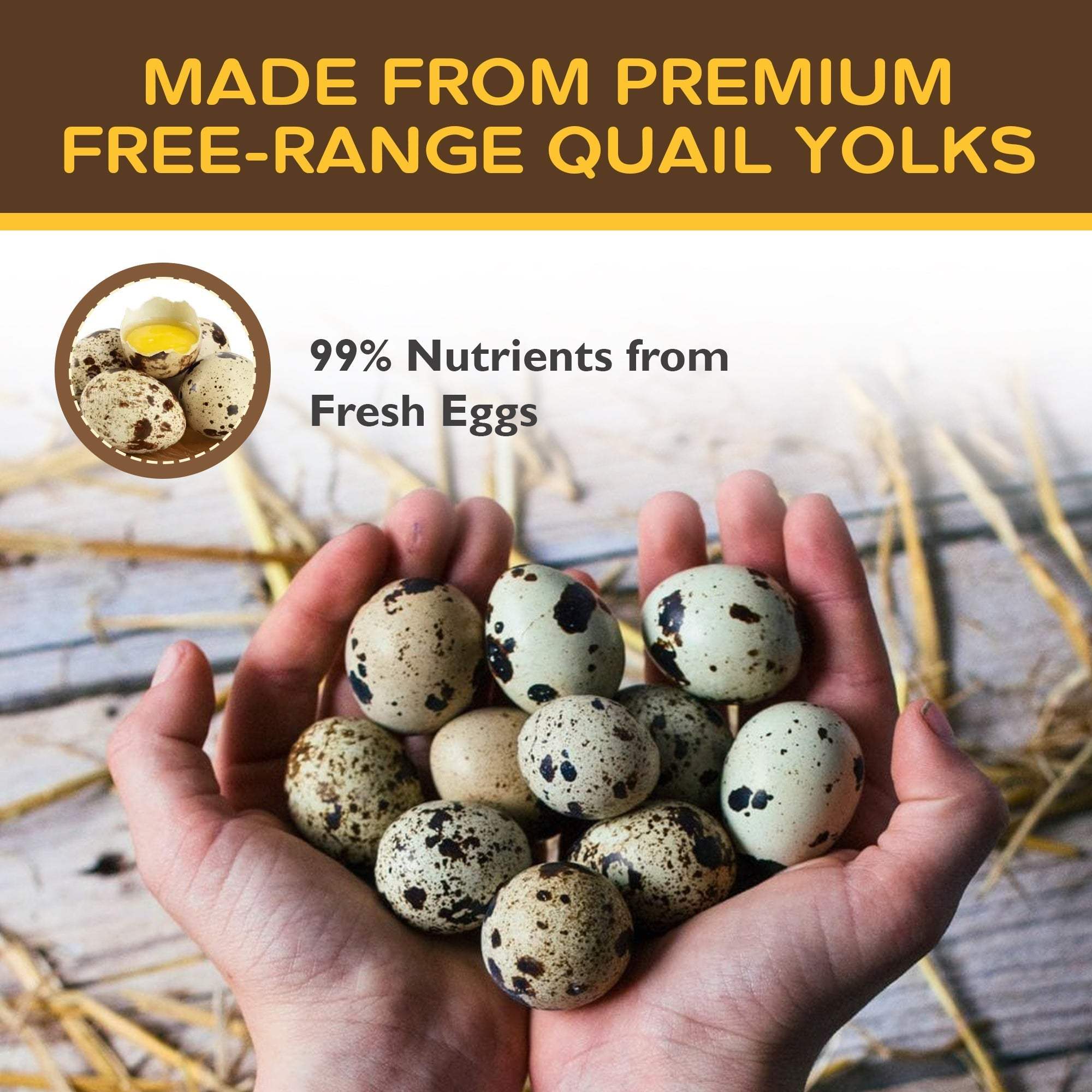 All Natural Freeze-Dried Quail Egg Yolk Treats - Chef - Kitty