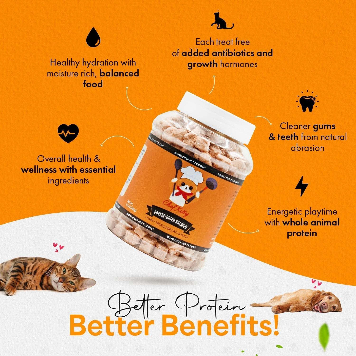 Freeze Dried Salmon Dog and Cat Treats - Made from 100% Wild Caught Salmon - Only 1 Ingredient - Healthy, Tasty, Dry Food for Indoor Cats, Kittens, Dogs - Inspected & Tested in the USA - Salmon (1.75oz - 5.3oz) - Chef - Kitty
