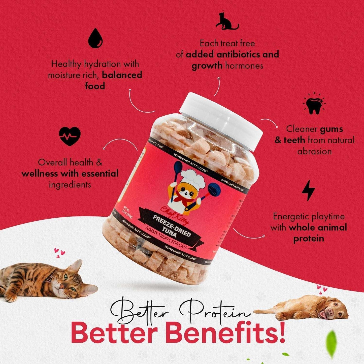 100% Wild Caught Tuna Treats for Cats & Dogs –  Freeze-Dried